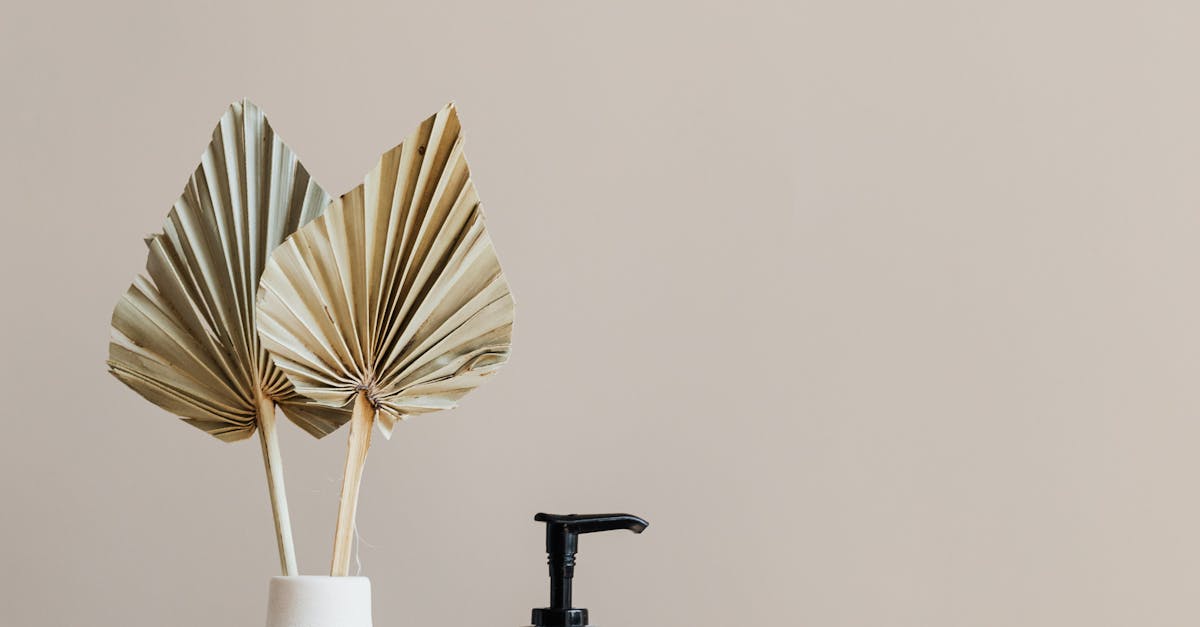 Essential Oils for Scalp Health and Nourishment